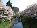 2010年5月26日 (水) 17:33時点における版のサムネイル