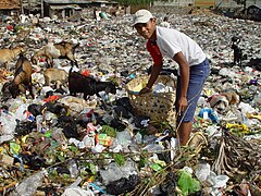 Pemulung di Jakarta