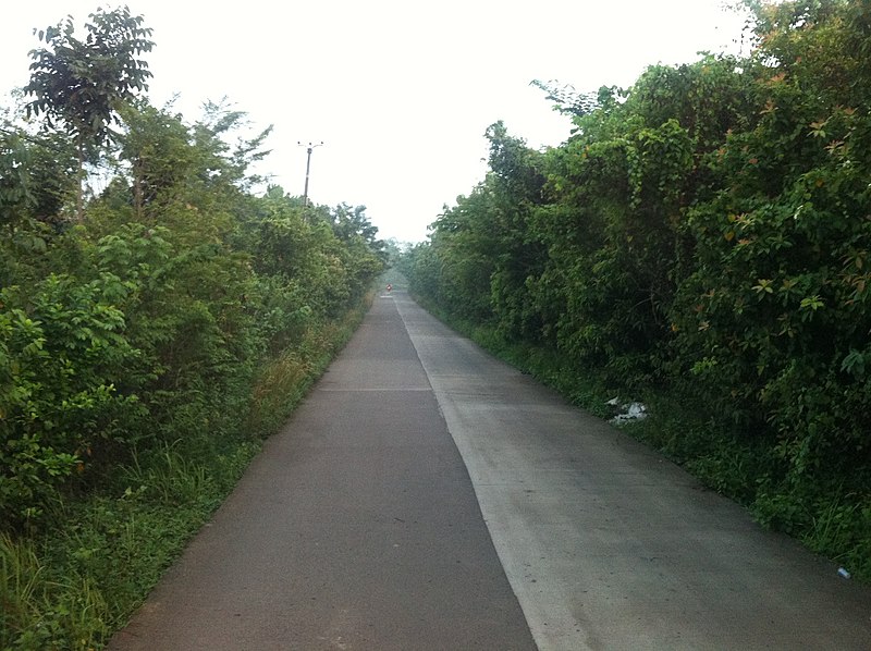 File:Jalan raya jasinga arah tenjo - panoramio.jpg