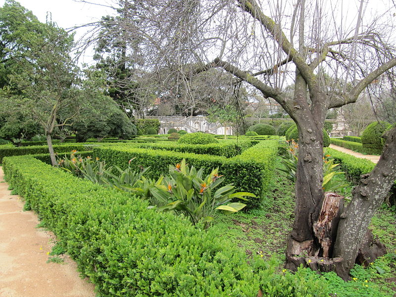 File:Jardim Botanico da Ajuda (14005600191).jpg