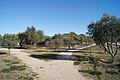 wikimedia_commons=File:Jardin public de Corneilla del Vercol 05.jpg