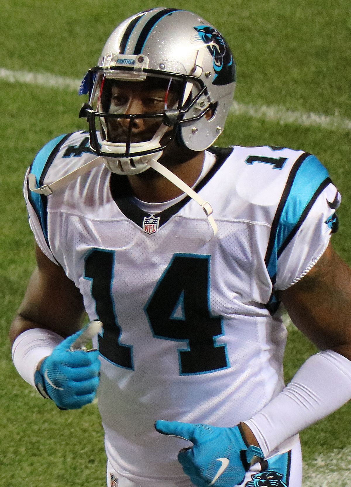 The Carolina Panthers' Joe Webb (14) passes the ball before being