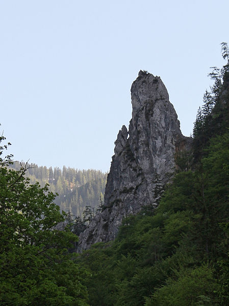 File:Johnsbach - Nationalpark Gesäuse - Felsformation in Johnsbach.jpg