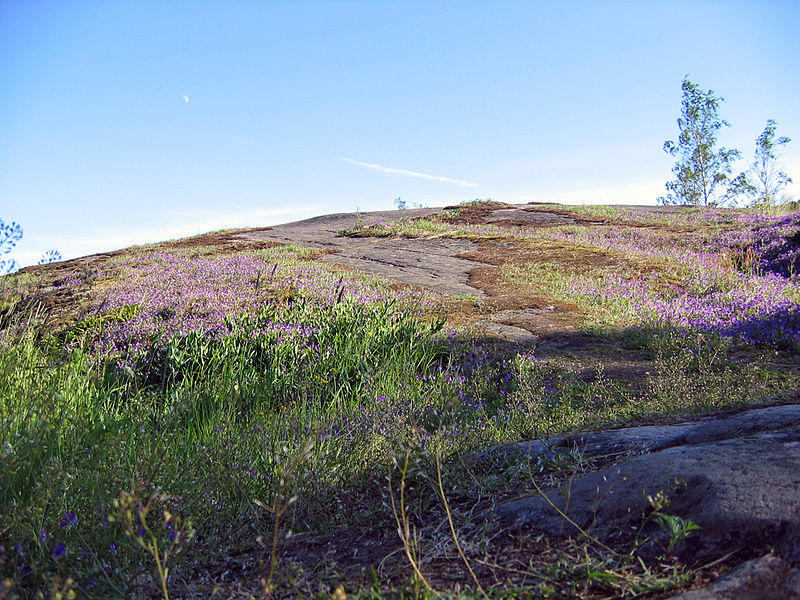 File:Juhannus-helsinki-2007-095.jpg