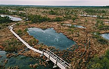 Kemeru Bog.jpg