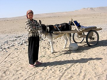 Dona uigur a les ruïnes de Melikawat