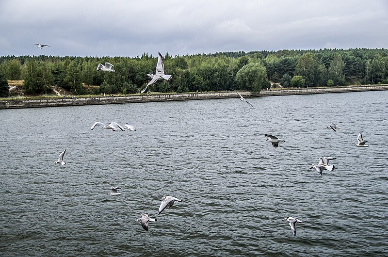 File:Klaipeda - panoramio (20).jpg