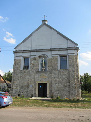 <span class="mw-page-title-main">Okopy, Ternopil Oblast</span> Village in Ternopil, Ukraine