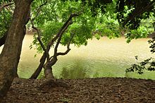 പ്രമാണം:Kuruva_islands_wayanad.jpg