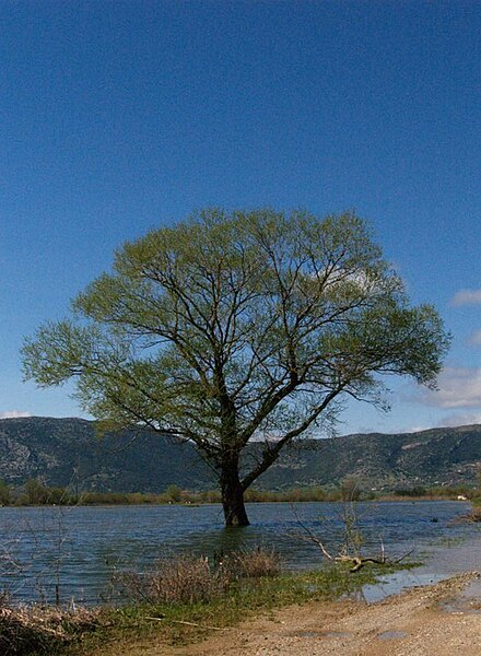 File:Lake Taka3.jpg