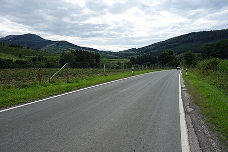 Landschaftsschutzgebiet Bestwig 1