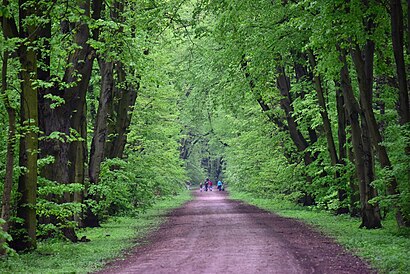 Jak dojechać komunikacją do Park Młociny - O miejscu docelowym