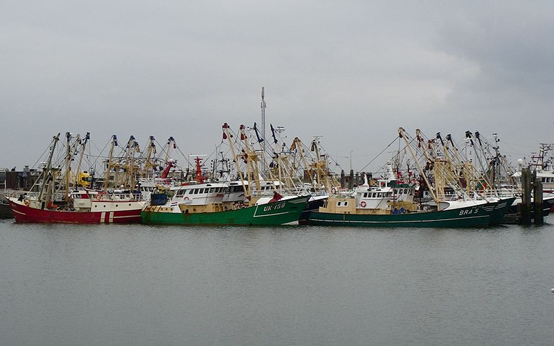 File:Lauwersoog - panoramio - gertrudis2010.jpg