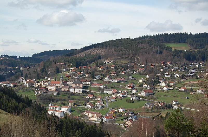 File:Le Tholy vu depuis Bouvacôte.jpg