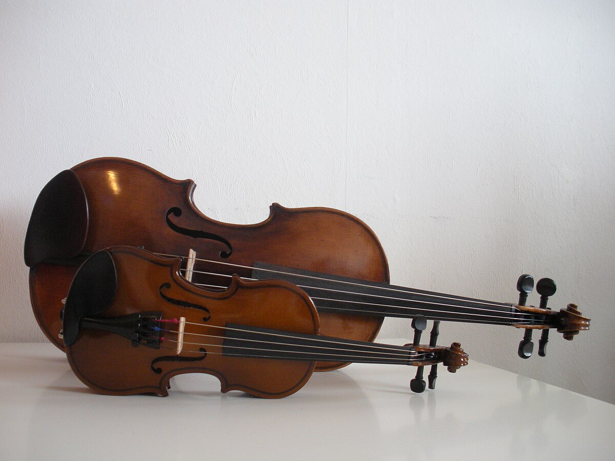 Скрипка дом 2. Скрипка. Первая скрипка. Скрипка 16 века. Бас музыкальный инструмент.