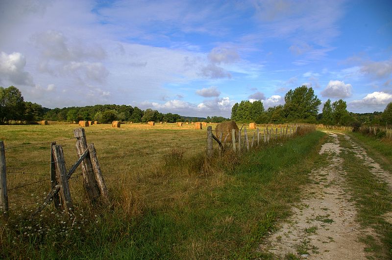 File:Les foins. Angé (Loir et Cher).jpg