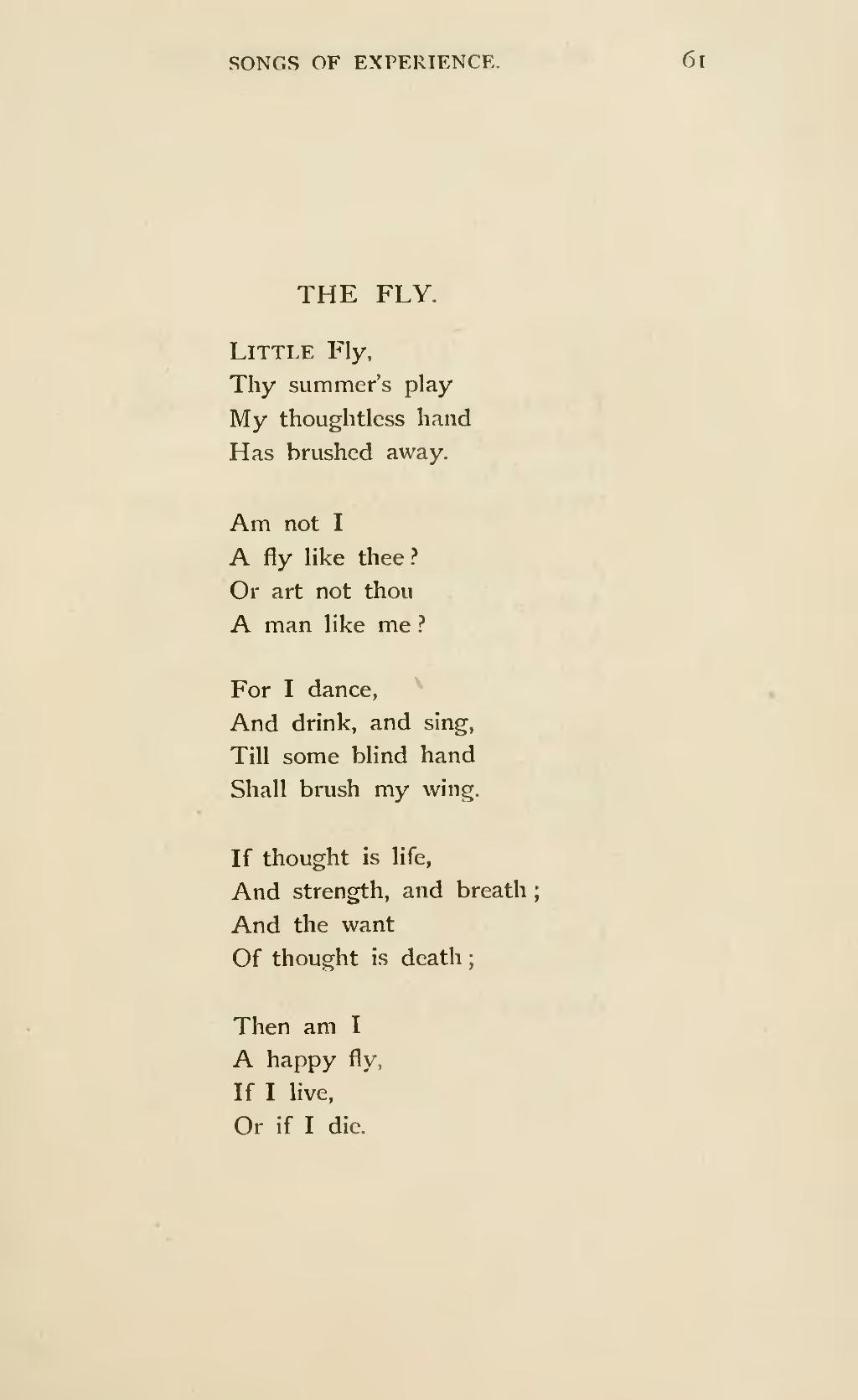 Fly Or Die – The Thought