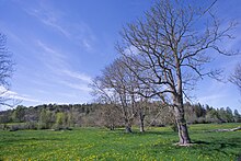 Fil:Lindeberget,_Linde_socken,_Gotland.jpg