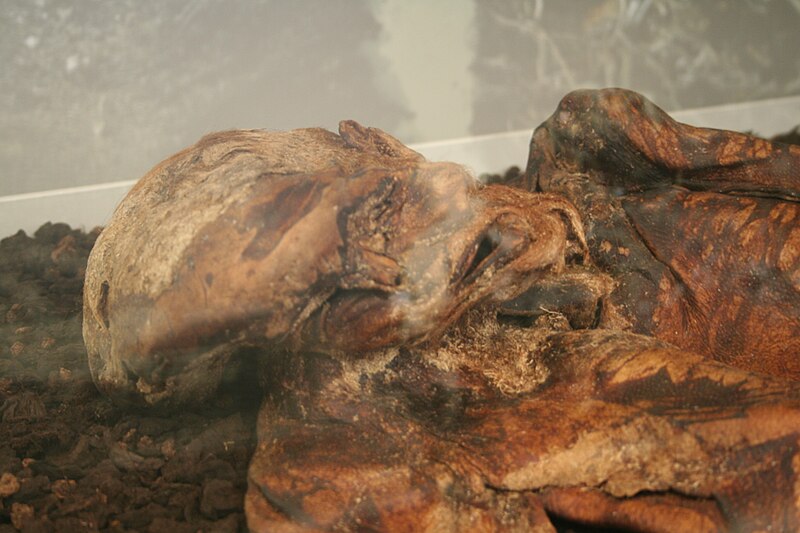 File:Lindow Man 04.JPG