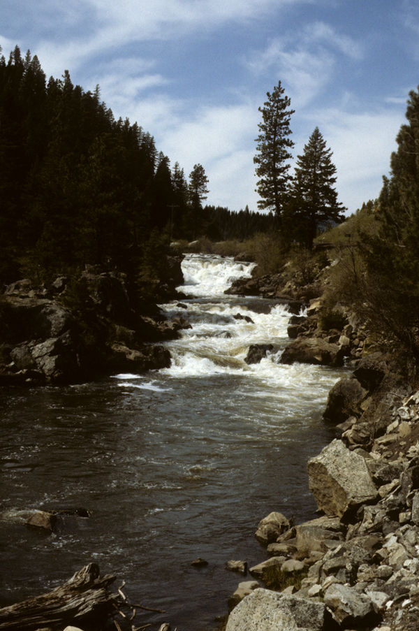 Little Salmon River (suba sa Tinipong Bansa, Idaho)