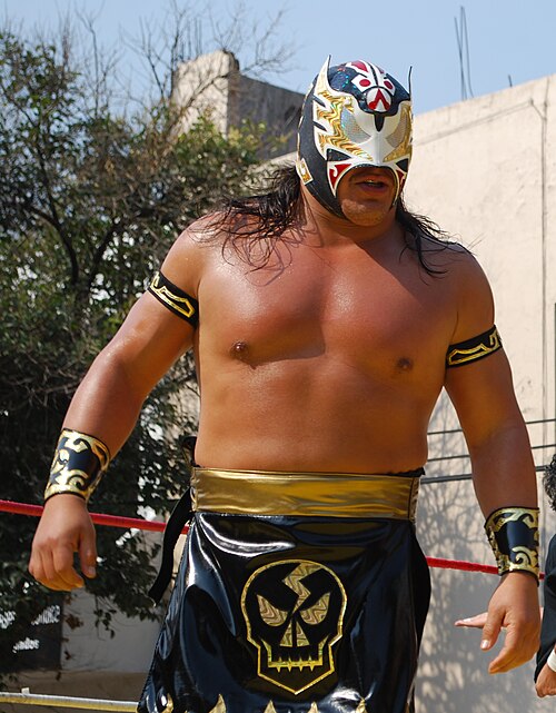 Último Guerrero, won the tournament both as a novato and a veteran