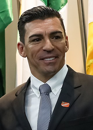 <span class="mw-page-title-main">Lúcio</span> Brazilian footballer