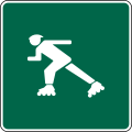 D11-13 スケーター