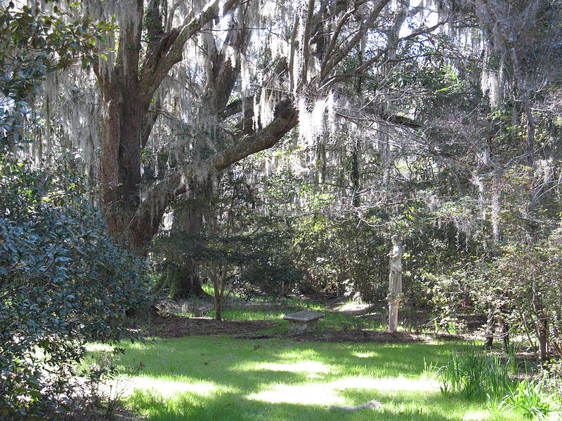 File:Magnolia Plantation and Gardens - Charleston, South Carolina (8555476747).jpg