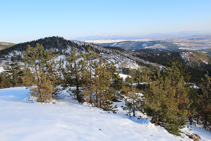 File:Maljen - Divčibare - zapadna Srbija - vrh Paljevine.jpg