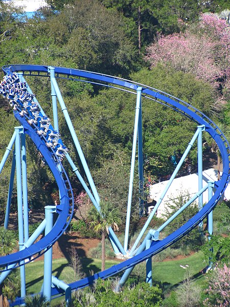 File:Manta at SeaWorld Orlando 62.jpg