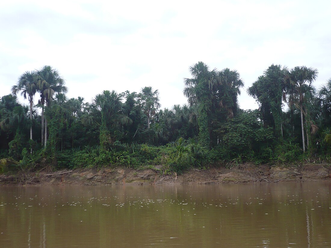 Río Manu (Perú)