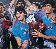 Società Sportiva Calcio Napoli 1981-1982 - Wikipedia