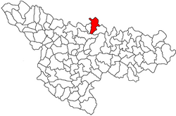 Location in Timiș County