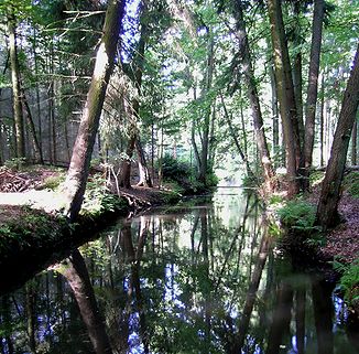 The Meisse at Gut Sunder, straightened and deepened