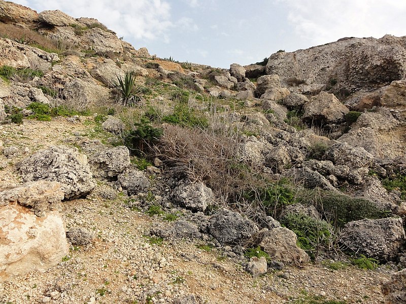 File:Mellieha, Malta - panoramio (12).jpg