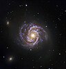 Messier 100 and Supernova SN 2006X.jpg
