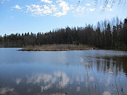 Metsäjärvi ja etualalla sen ainoa saari