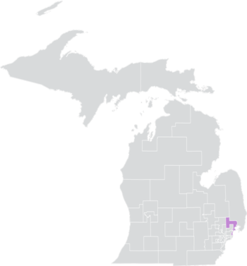 Мичиган Сенат округы 8 (2010) .png