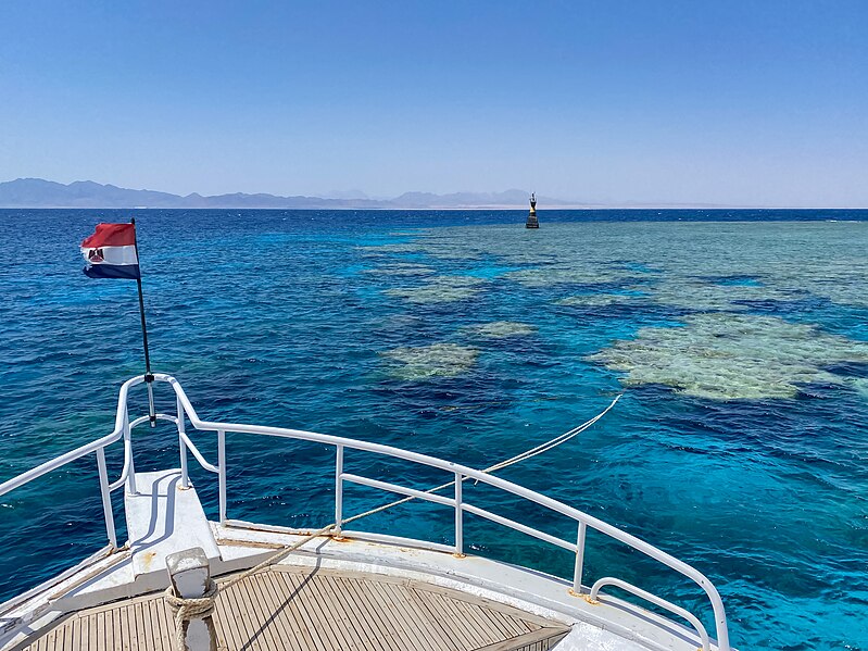 File:Middle Reef in the Red Sea near Safaga, Egypt (51223823409).jpg