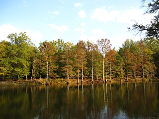 <span class="mw-page-title-main">Mingo Creek (St. Francis River tributary)</span> Stream in the American state of Missouri