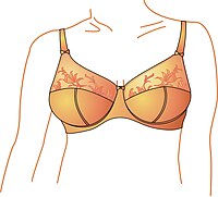 File:White bra cup C.jpg - Wikipedia