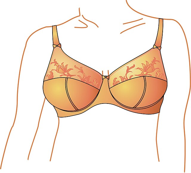 What Is a Shelf Bra? (Hint - There are Two VERY Different Types!!!) 