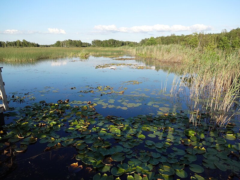 File:Moszne Lake 3.jpg