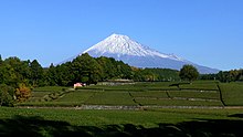 富士山と茶畑（静岡県富士市）