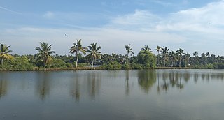 North Paravur Municipality in Kerala