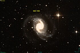 Image illustrative de l’article NGC 1566
