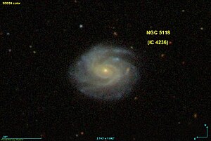 NGC 5118