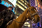 Ofițer de poliție din New York City călare