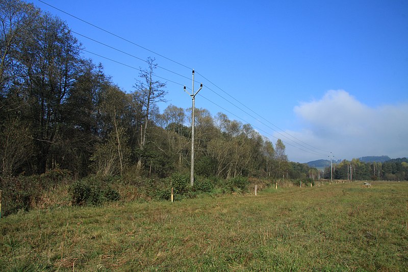 File:Nature reserve Dobrockovske hadce in autumn 2011 (43).JPG