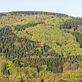 Deutsch: Blick vom Reinhardsberg in Friedrichroda auf den Tannenkopf.